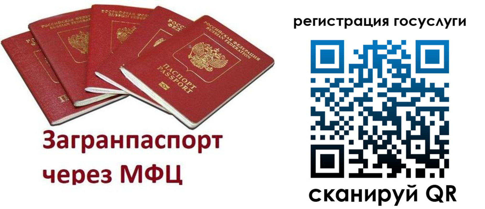 прописка 2025 в Железногорске